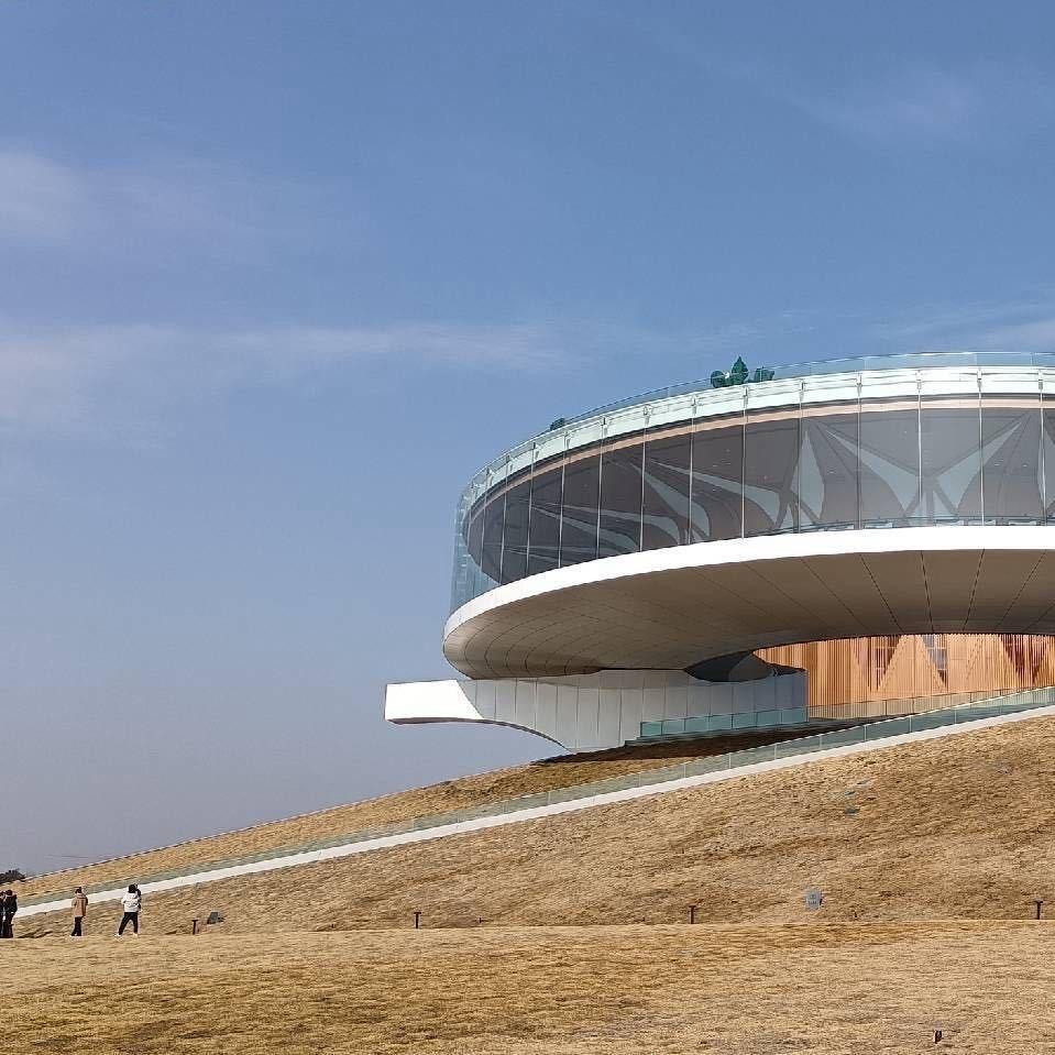 王老师升学规划