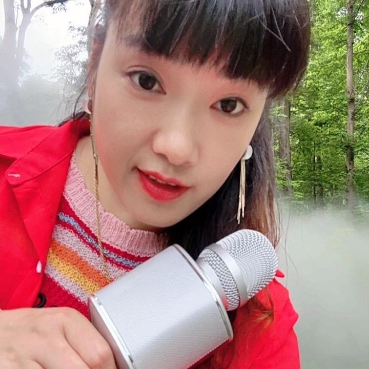 微笑如花村姑团队团长代理星麦克话筒小号