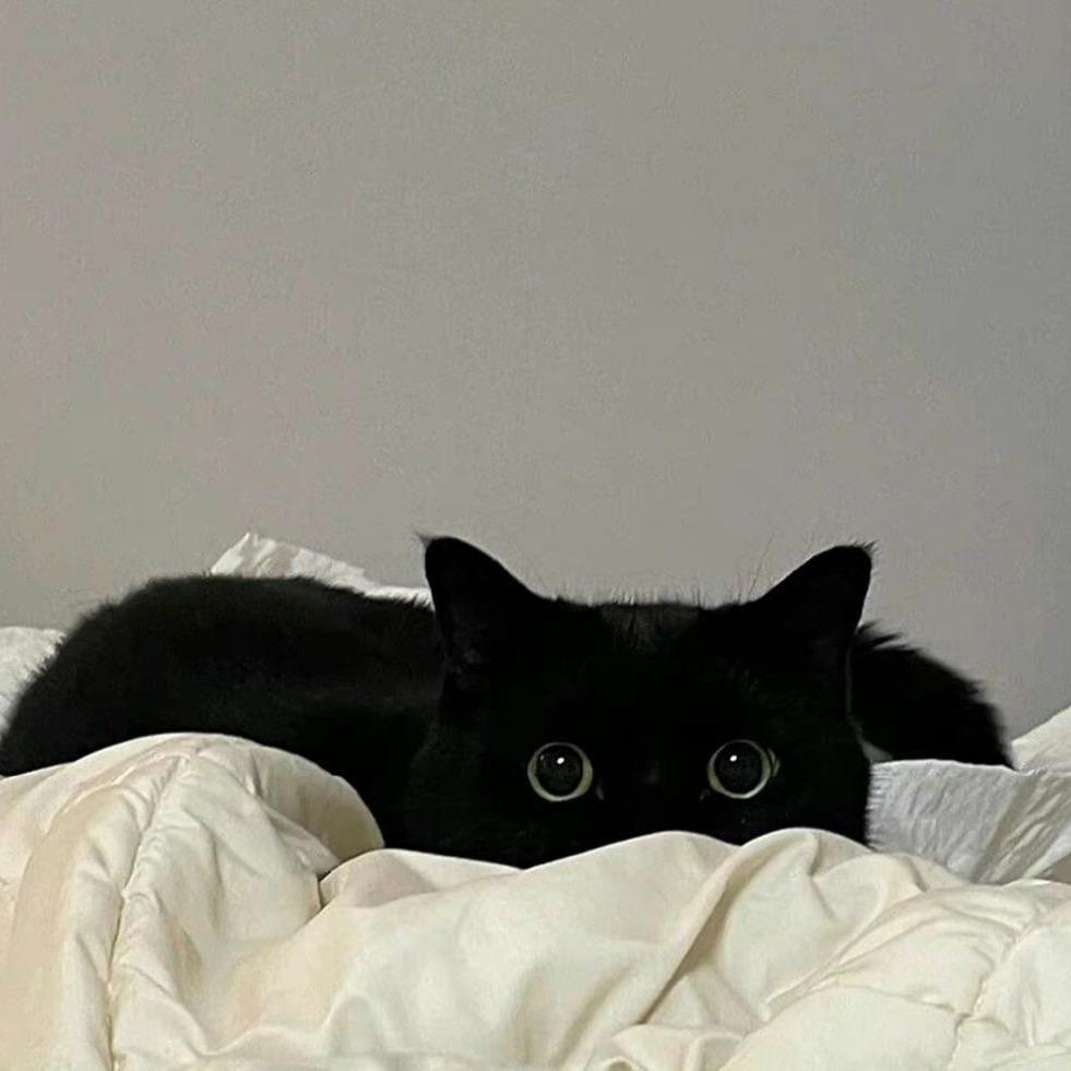 妧