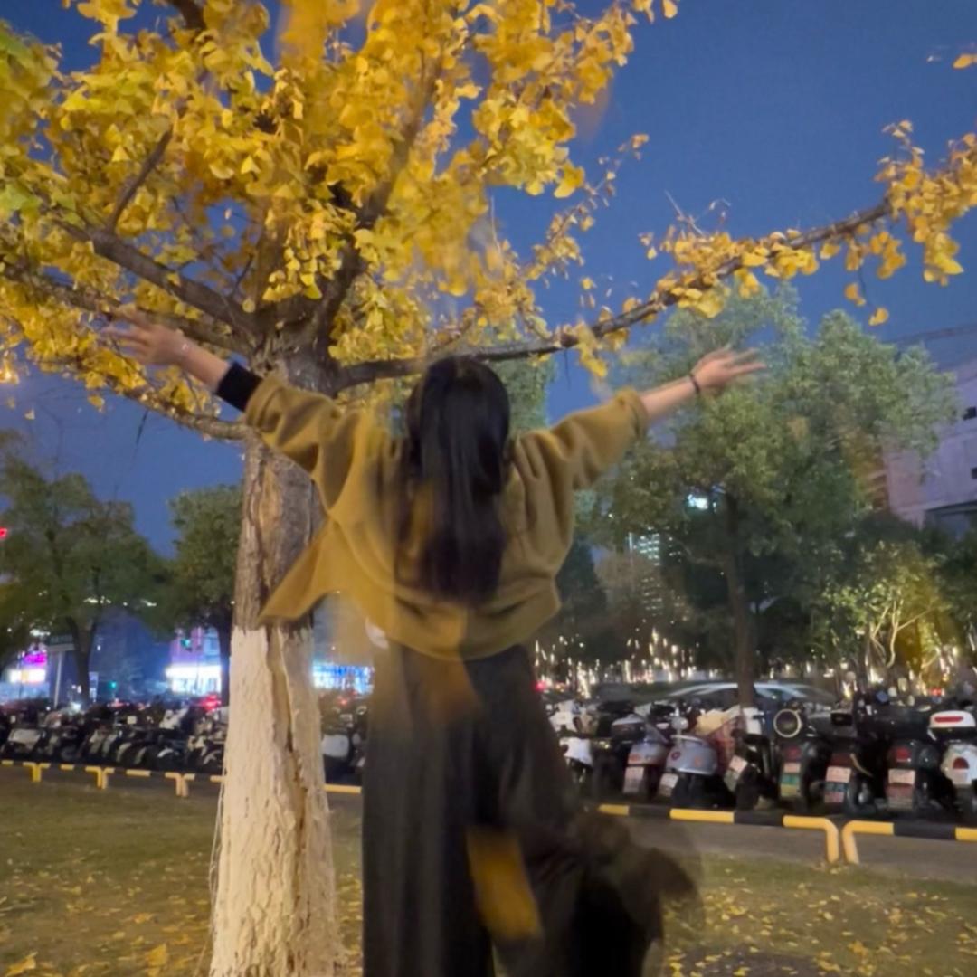 。。。。。。。。