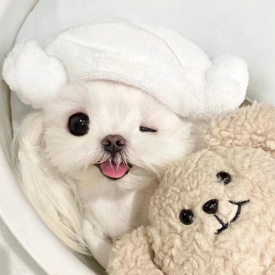 楠楠baby