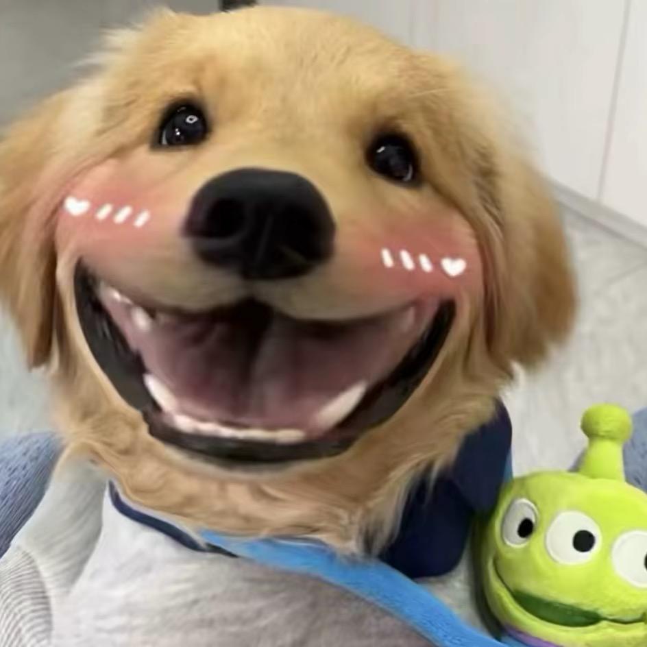 大口吃肉ovo