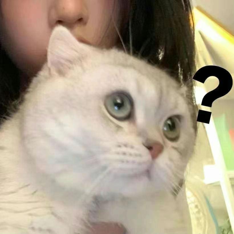 金智妮妮