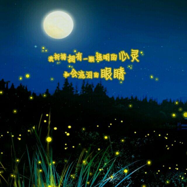 冬  梅