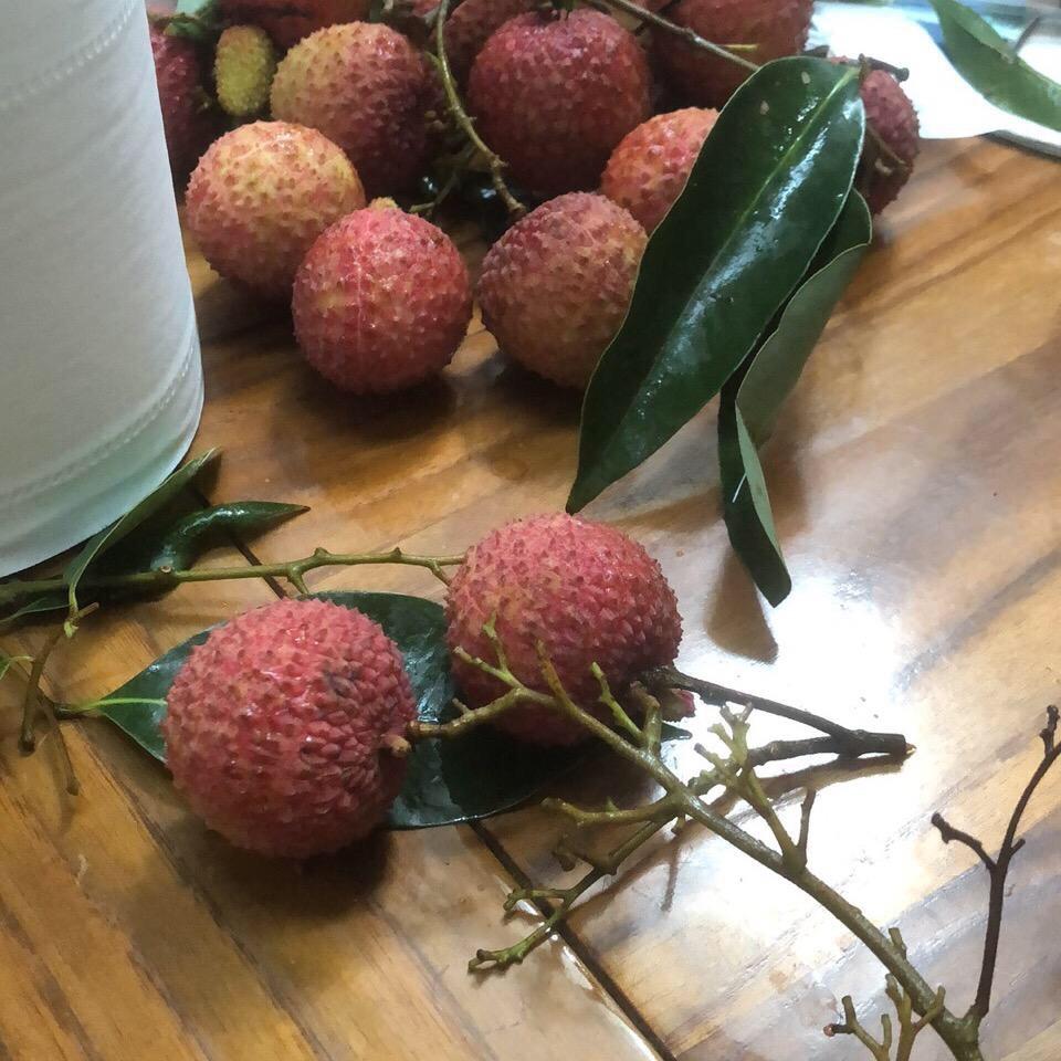 一切皆随缘🐒