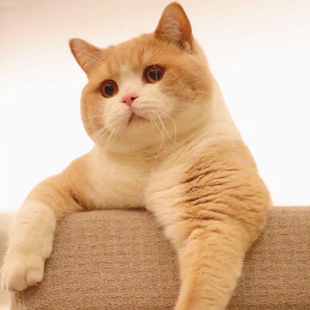 草莓酱加冰加糖