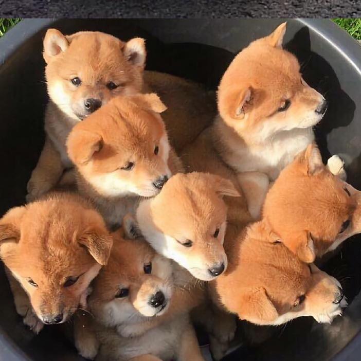 用户小七