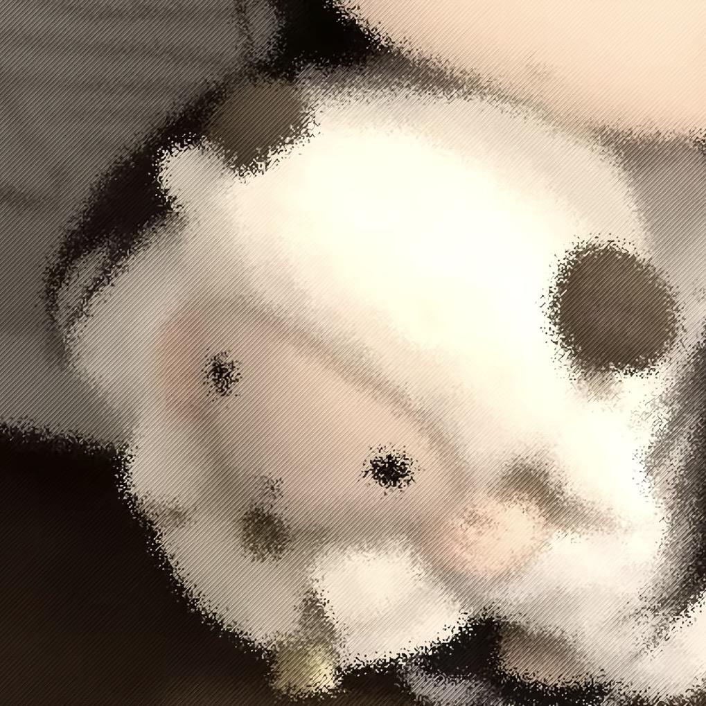 吴迪松鼠