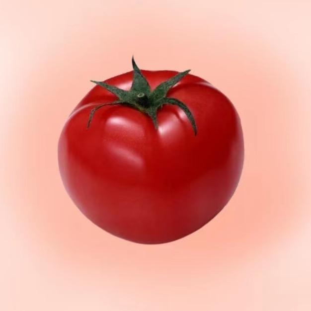 西红柿🍅