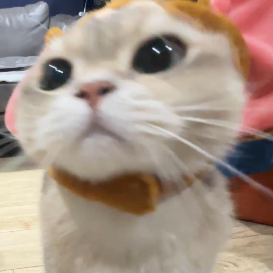 鈞汯呐