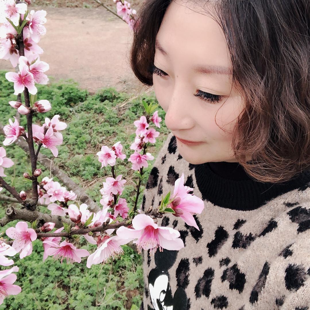 燕子