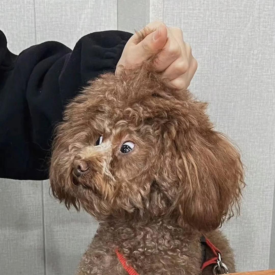 根本睡不醒