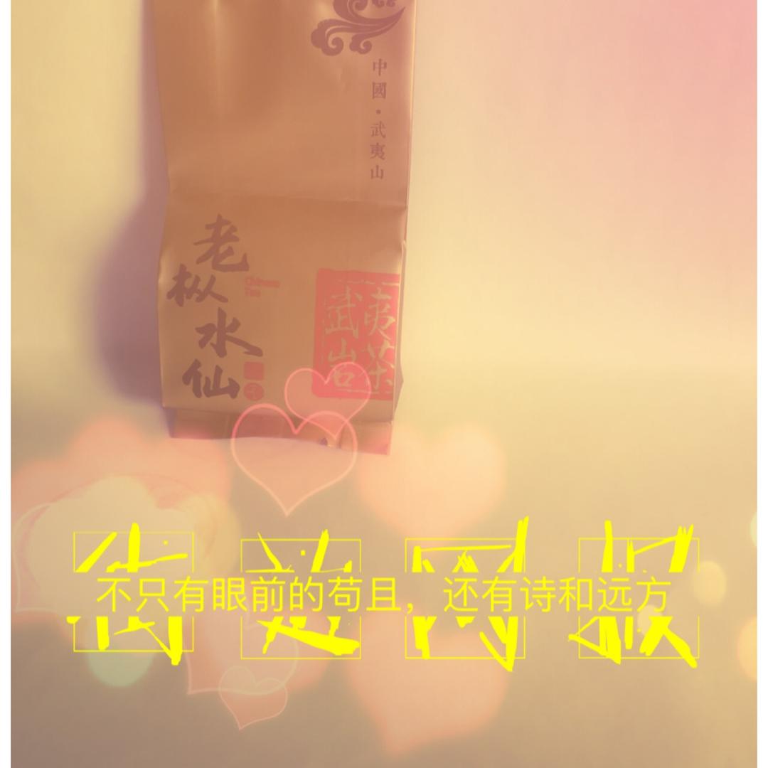 武夷小茶