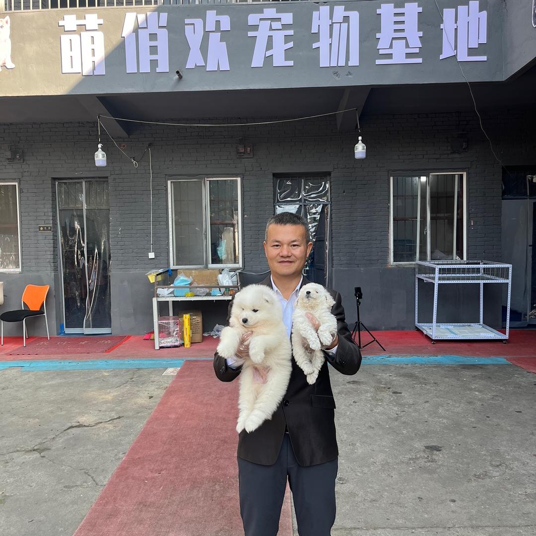 云哥萌俏欢青云谱宠物基地