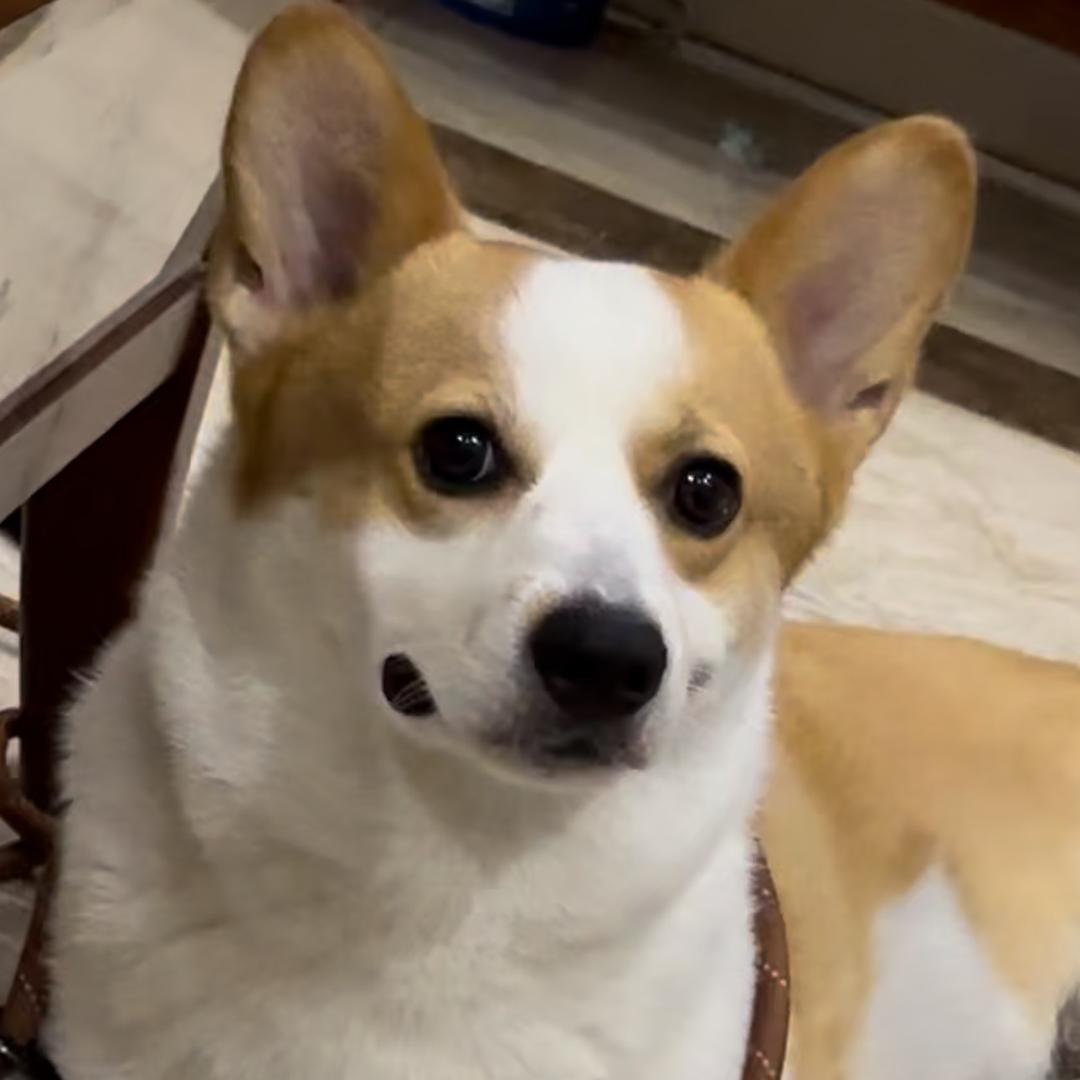 小何🧞‍♀️