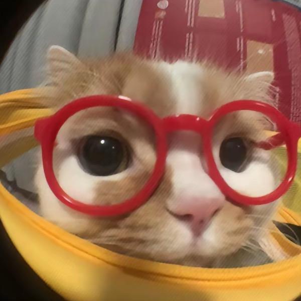 奇蕴