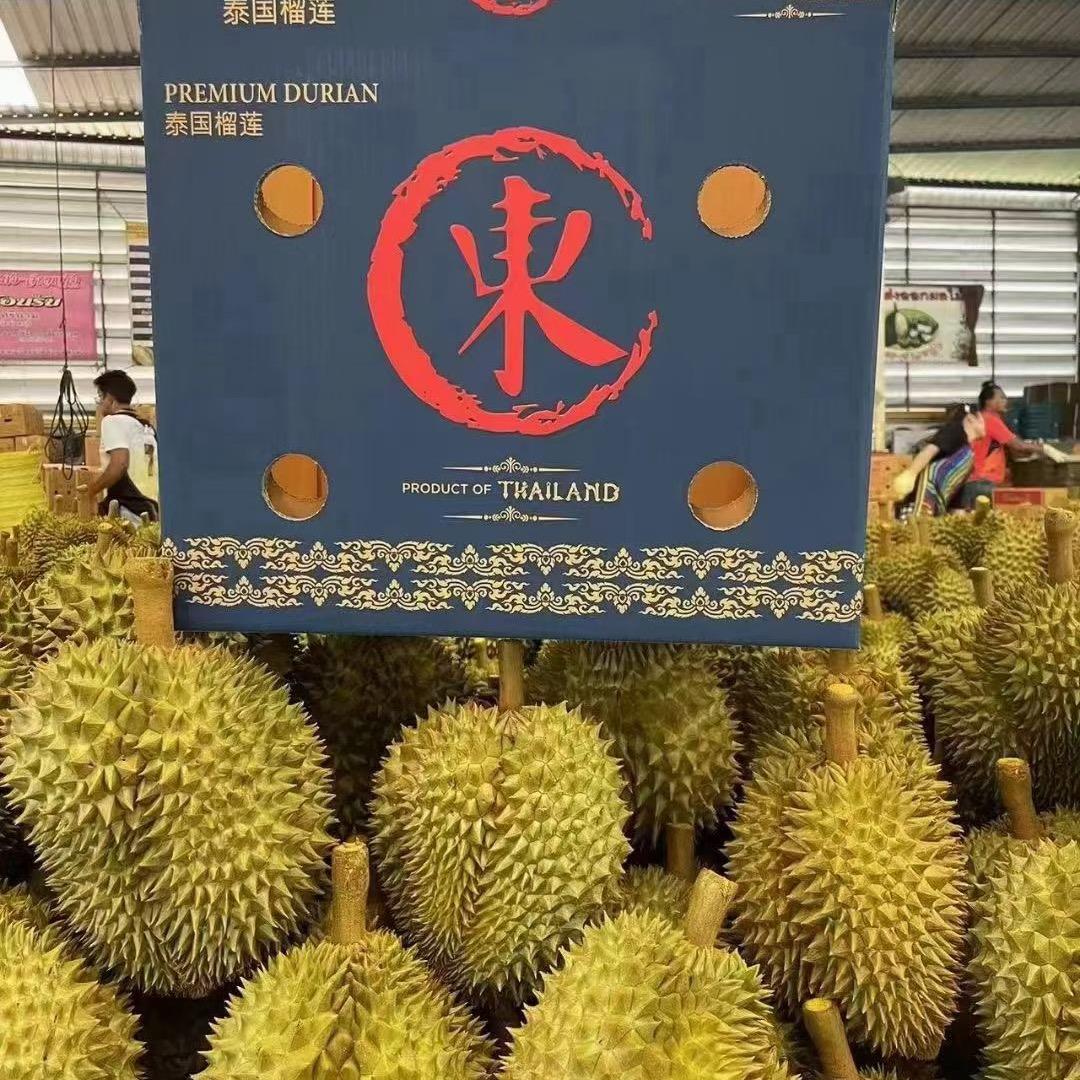 谦哥