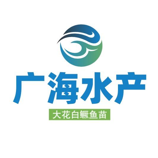 大花白鳜鱼苗