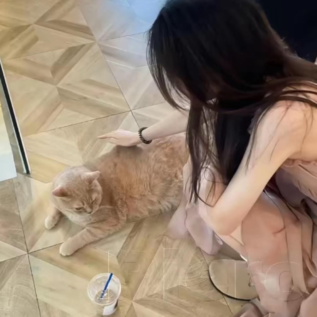 -团子-