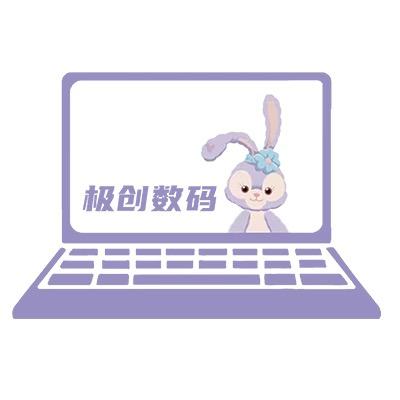 极创数码企业店