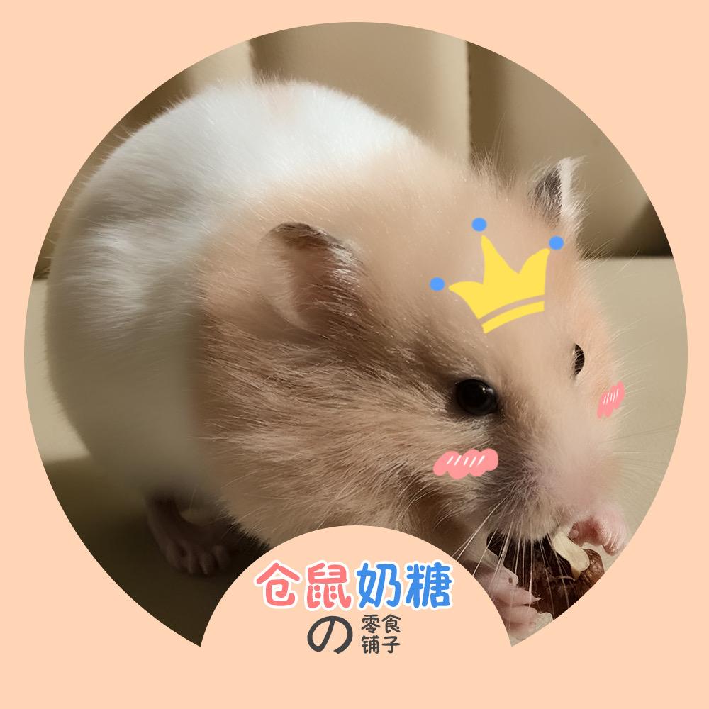 仓鼠奶糖的零食铺子