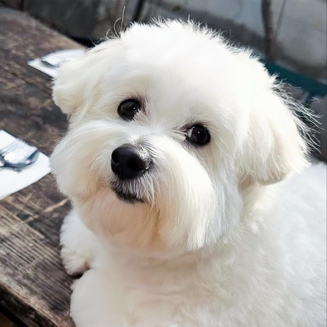 澈哩的酒瓶子