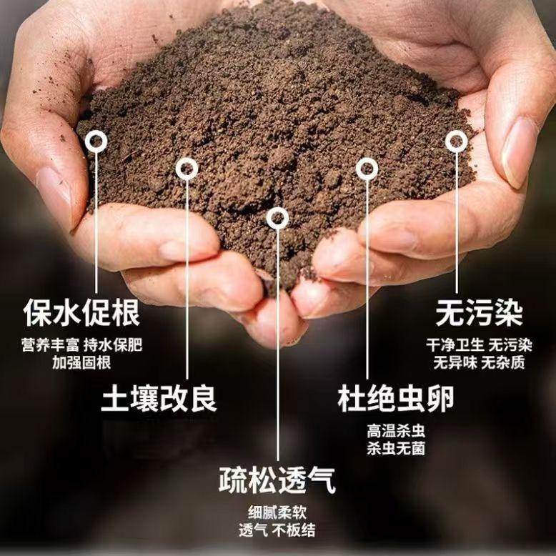 臻沃（努力版）