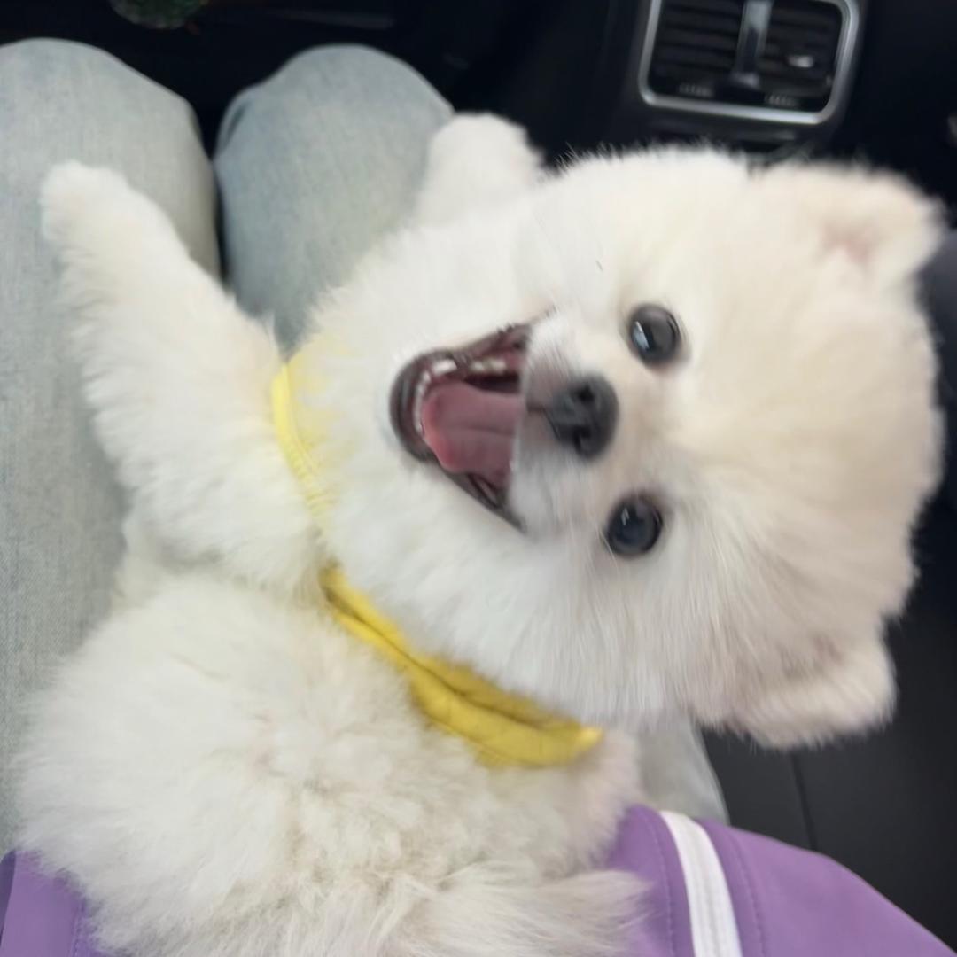 🌠 ૮・ᴥ - ა🌙