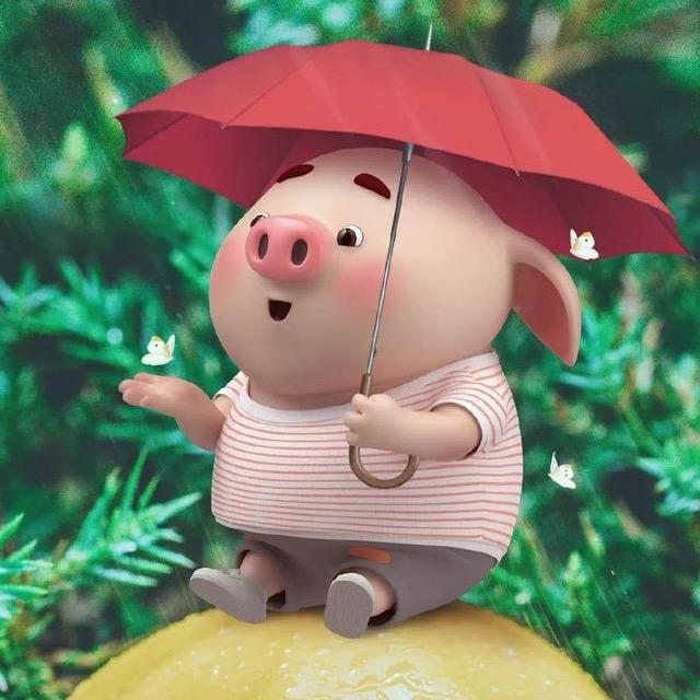 宜兴孩子王君乐宝