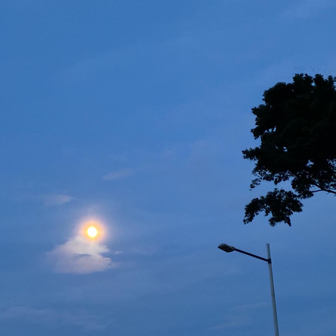 睡个懒觉⁸ 💤