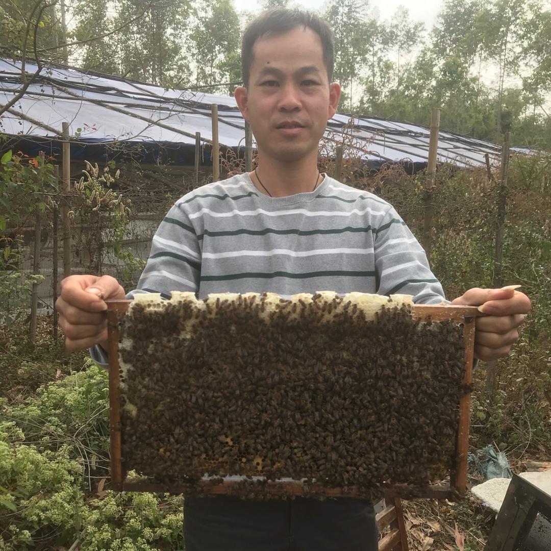 养蜂亮哥水电工程