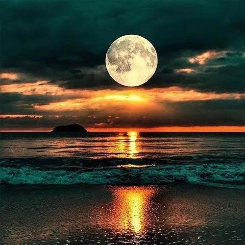 এ᭄讓愛࿚໌້ᮨ隨緣ꦿꦿᩚ꯭💕