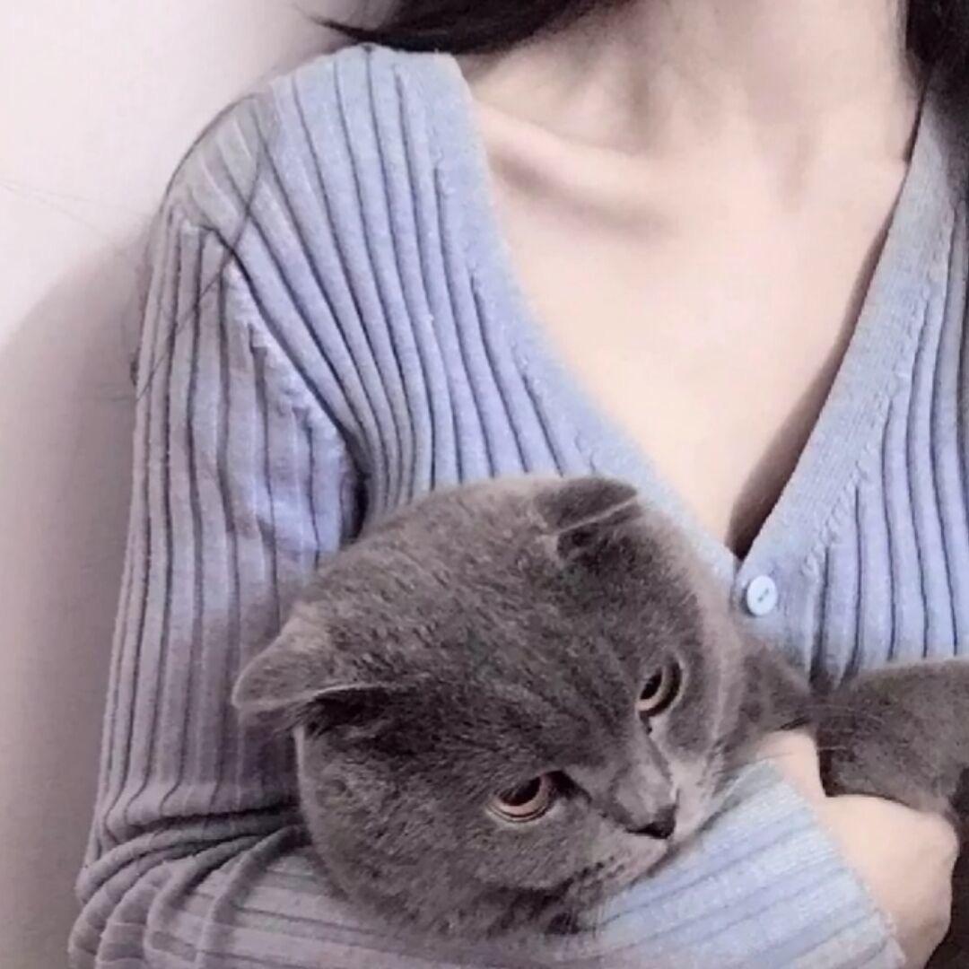 是苏不是输💭