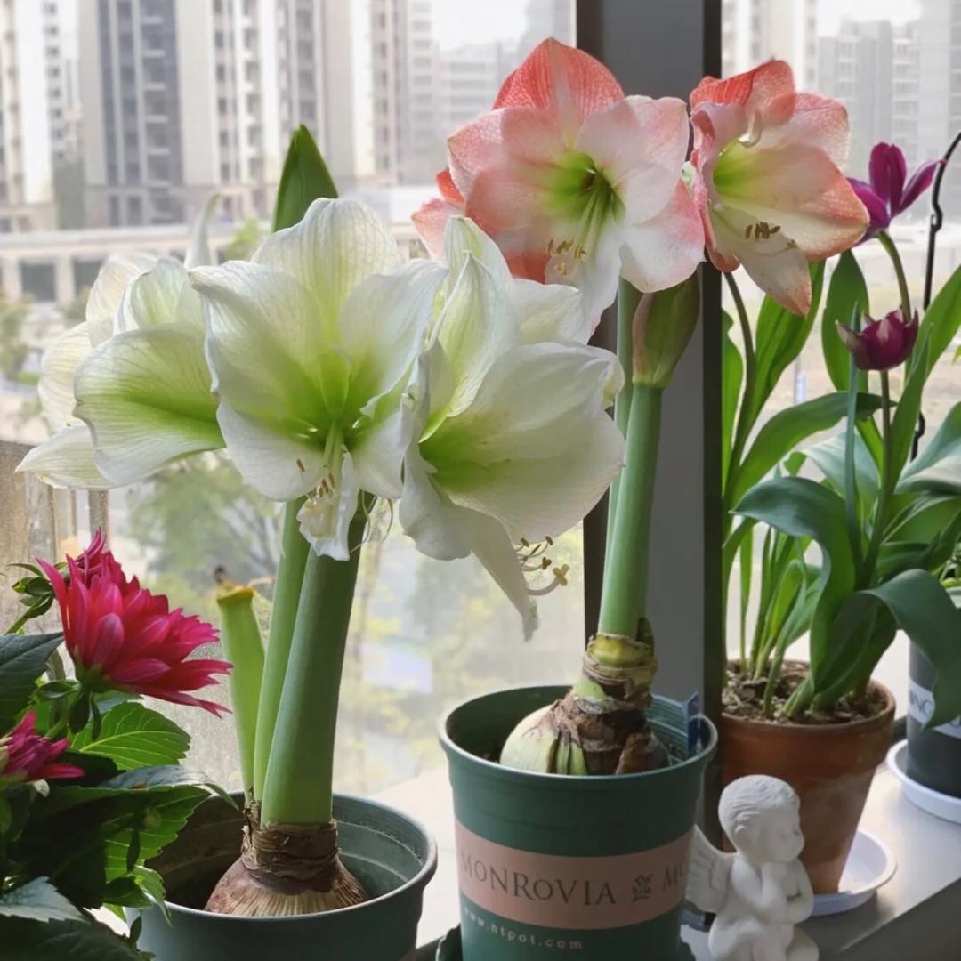 小满人间