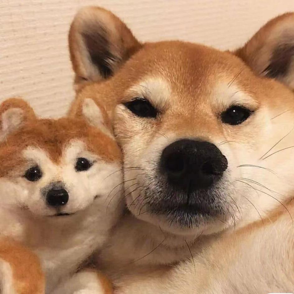 暴躁九号