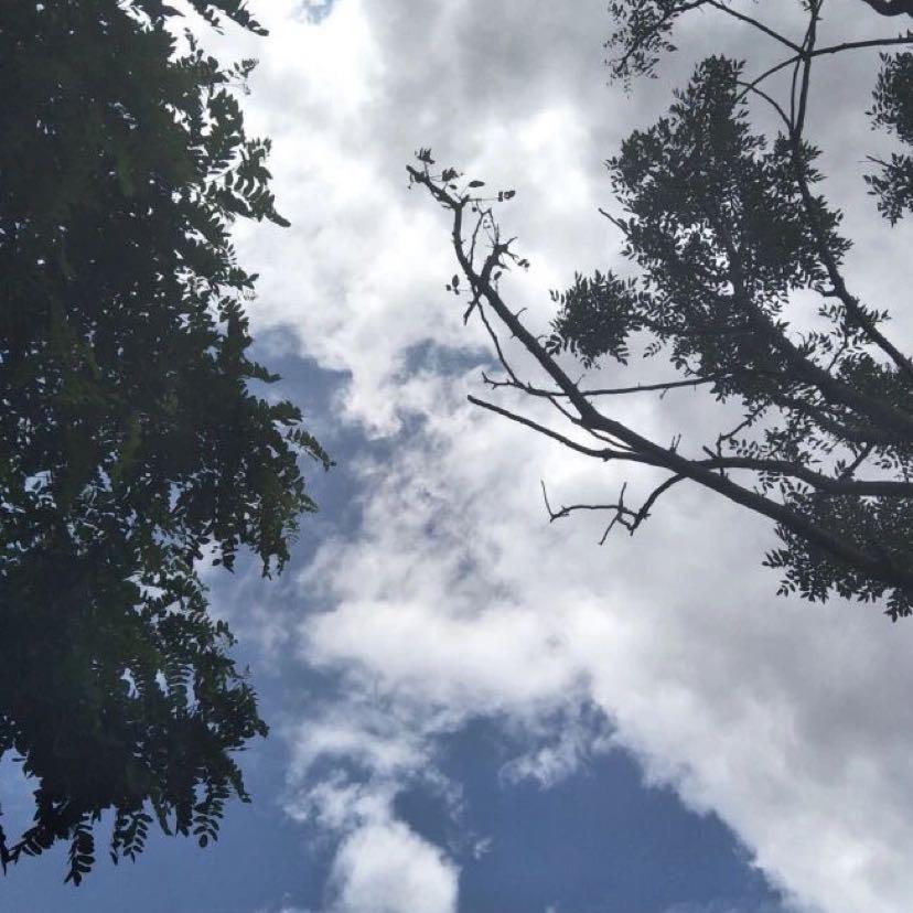 郭林鹰