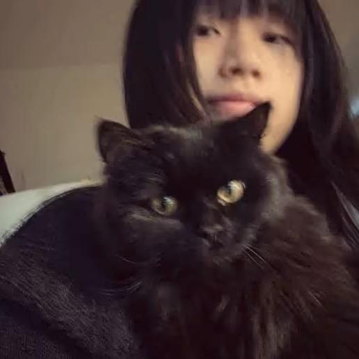 斩情
