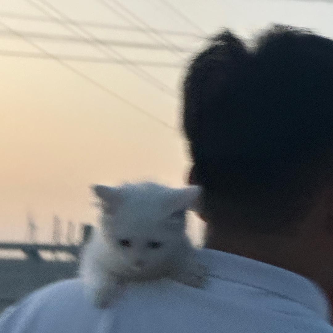 花开富贵-: