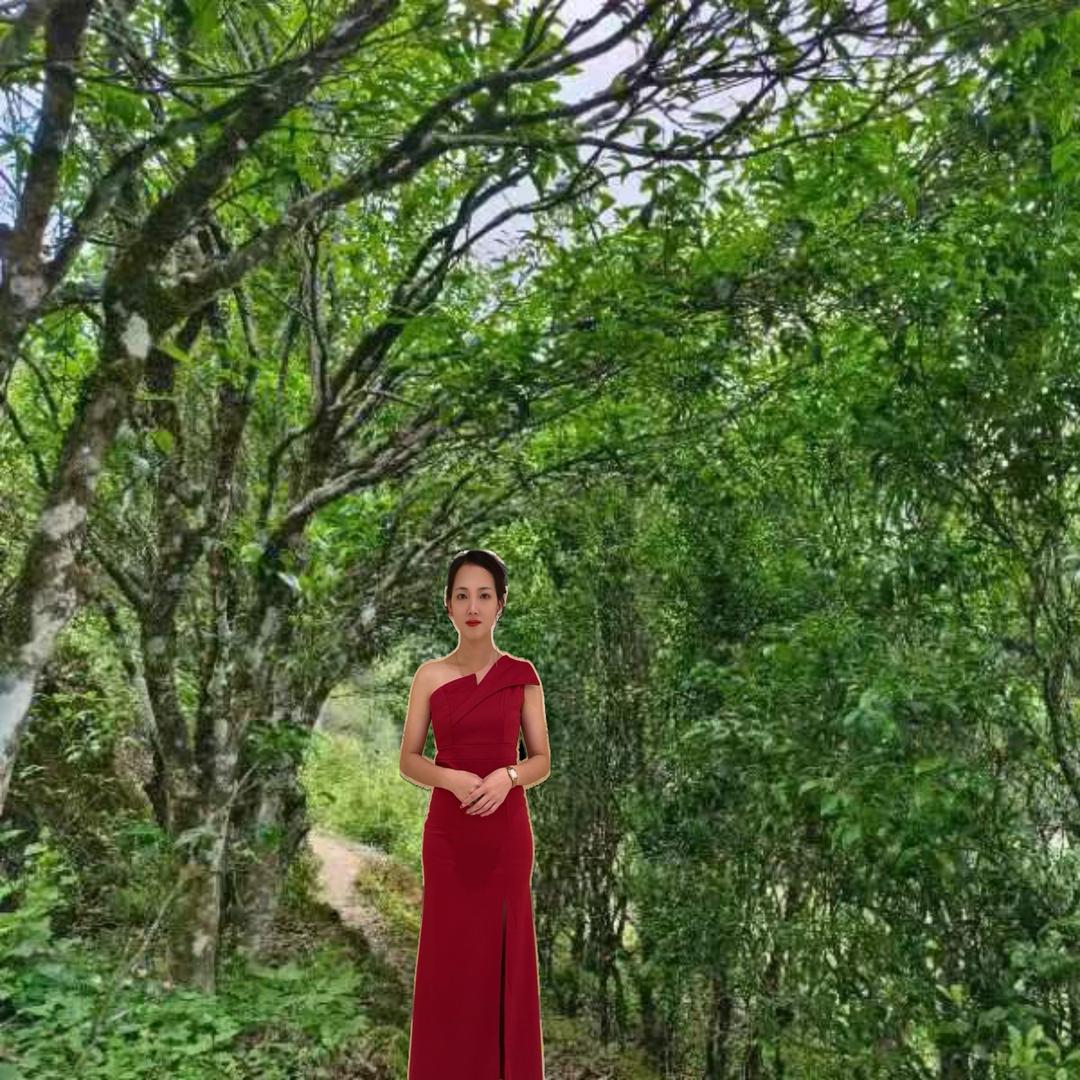 慧慧茶庄批发（尊师山妹）