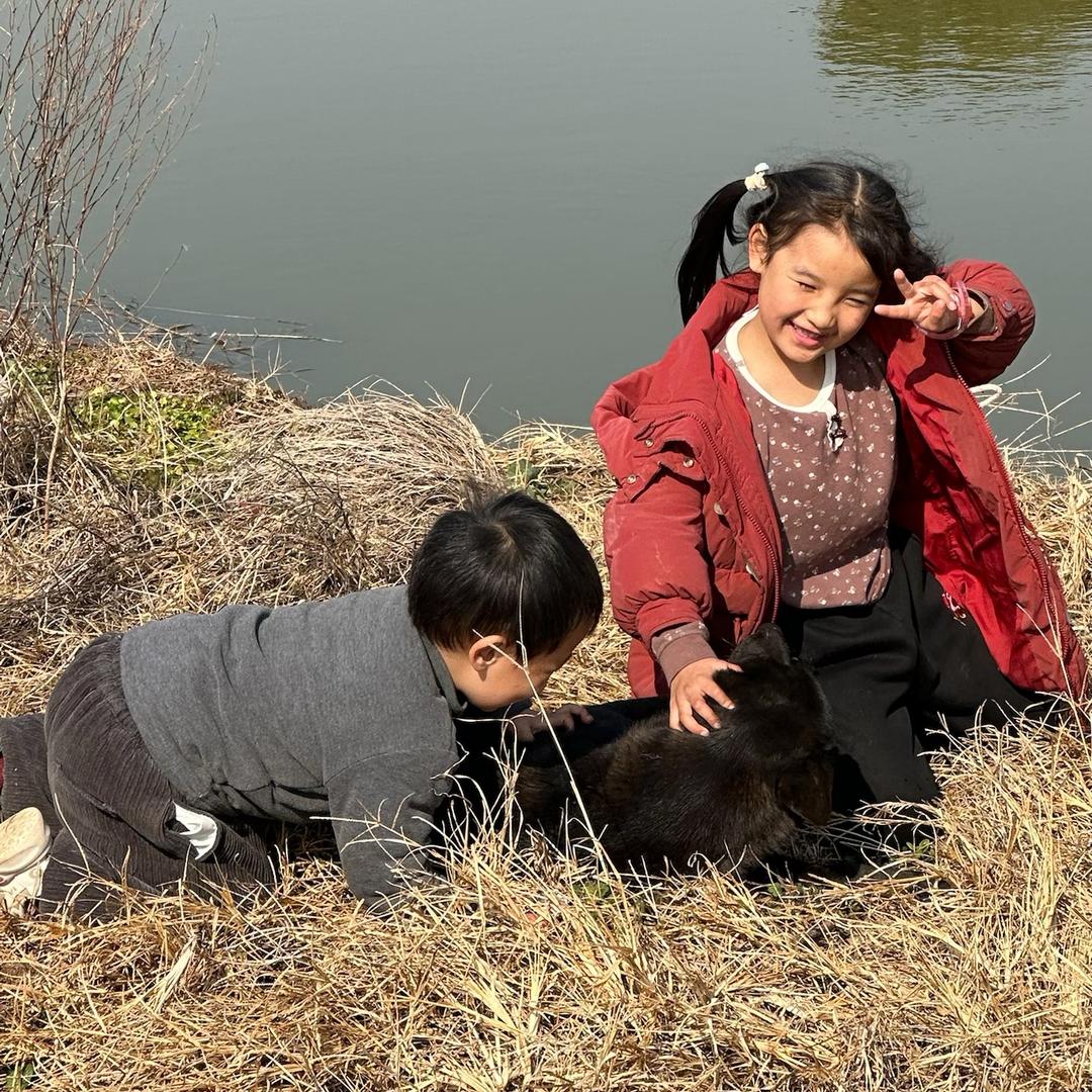 安庆滨江夜市酱爆鱿鱼