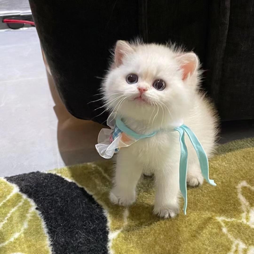Uososo智能设备旗舰店