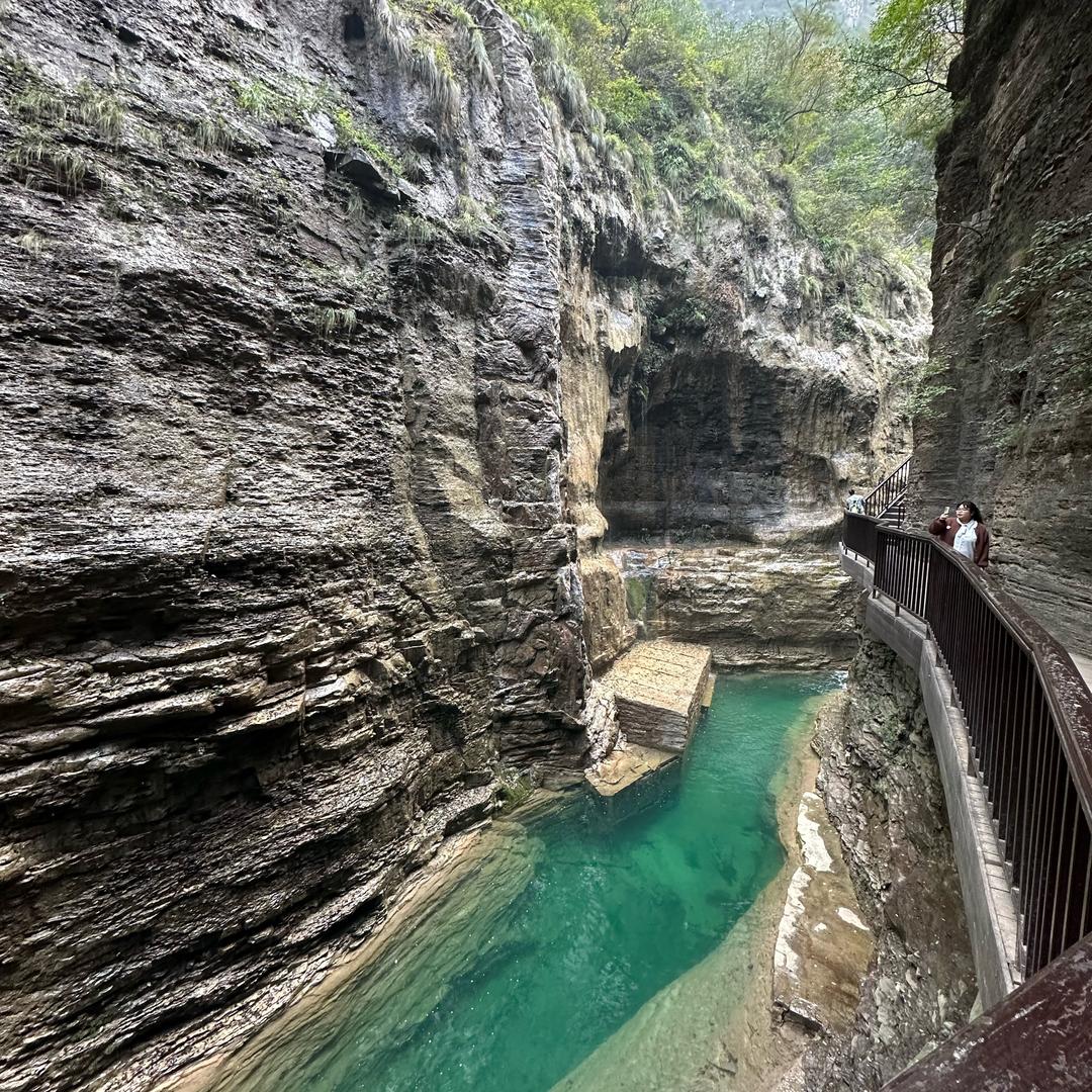 一整瓶的梦境ღᩚ