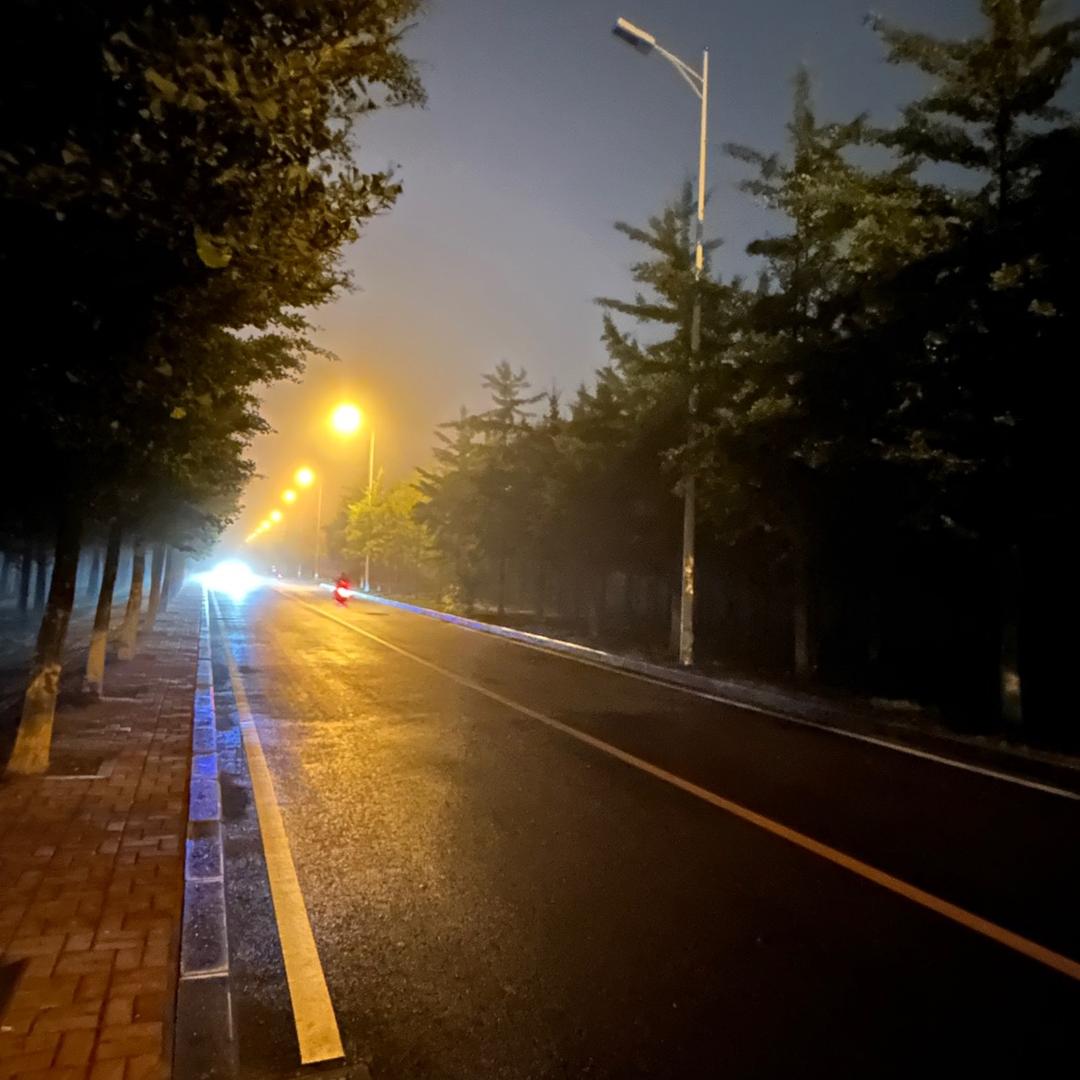 玲姐卖海鲜