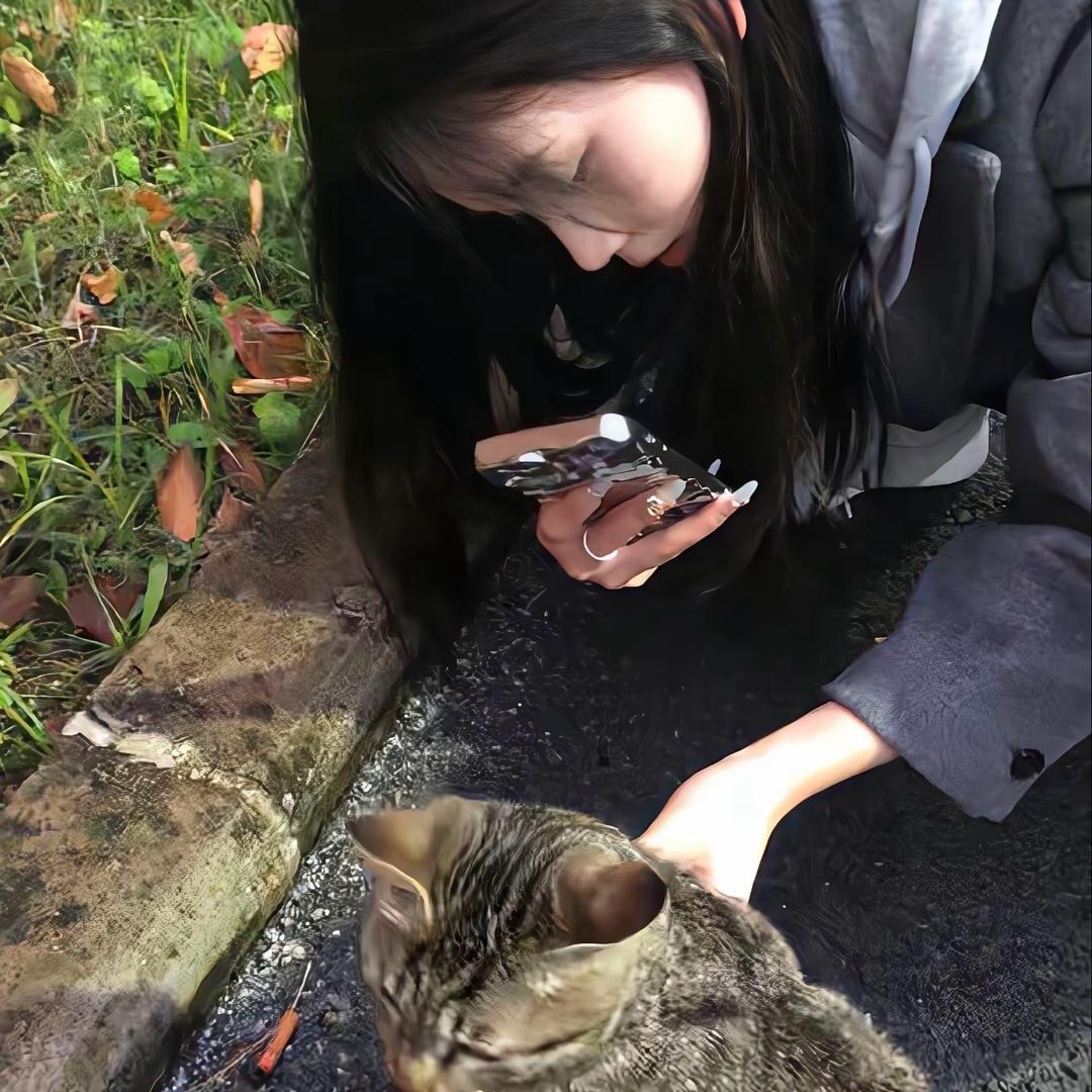 我会昕想柿成（i🐟）