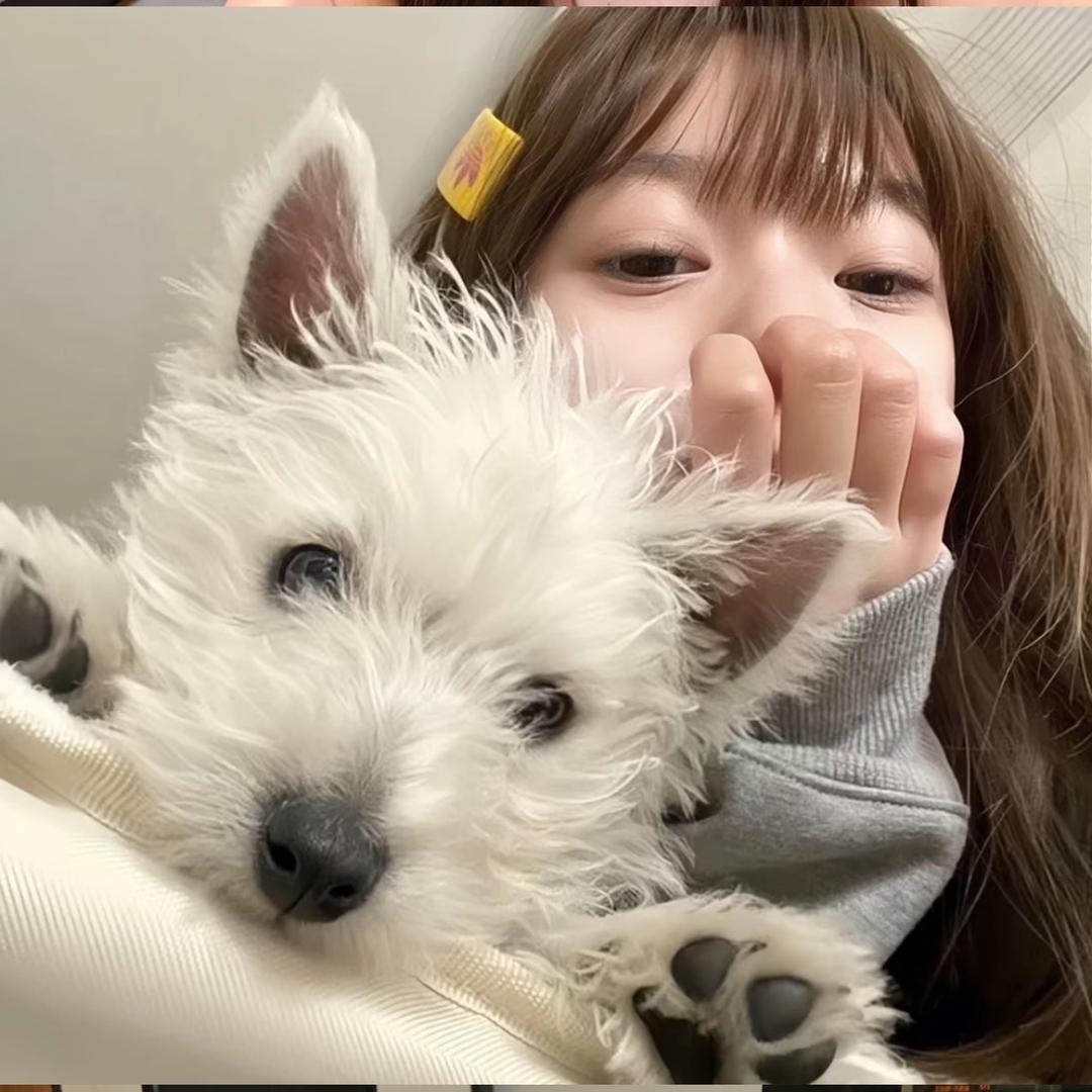 珊