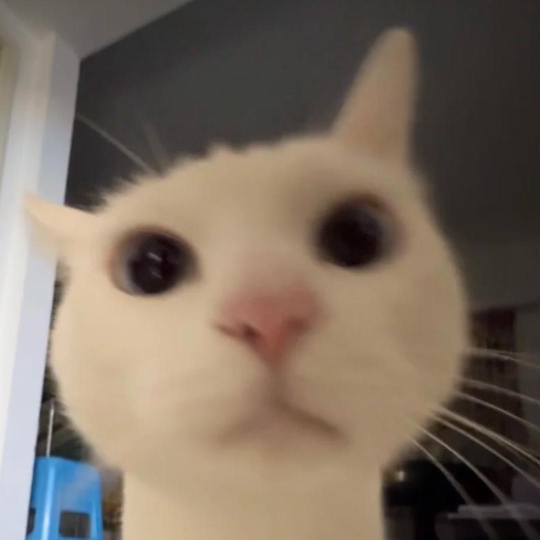 小咕咚咕咚咕咚
