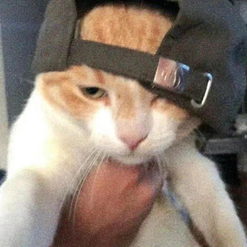 7720