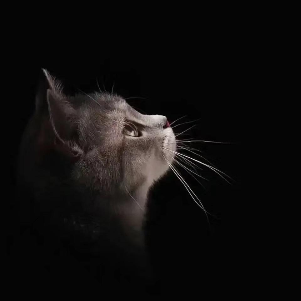 安宁✨
