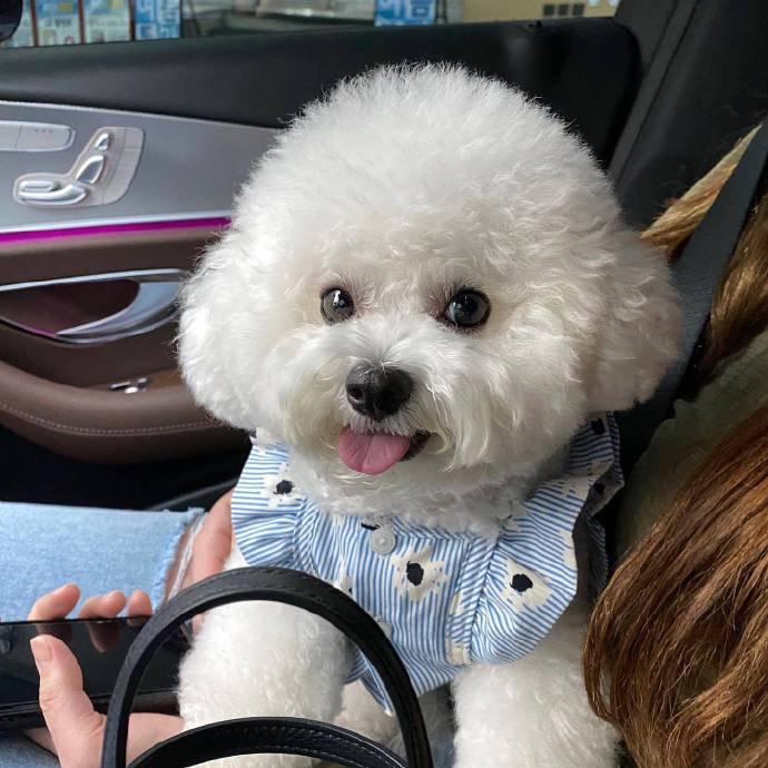 卷卷的七喜日常🌟