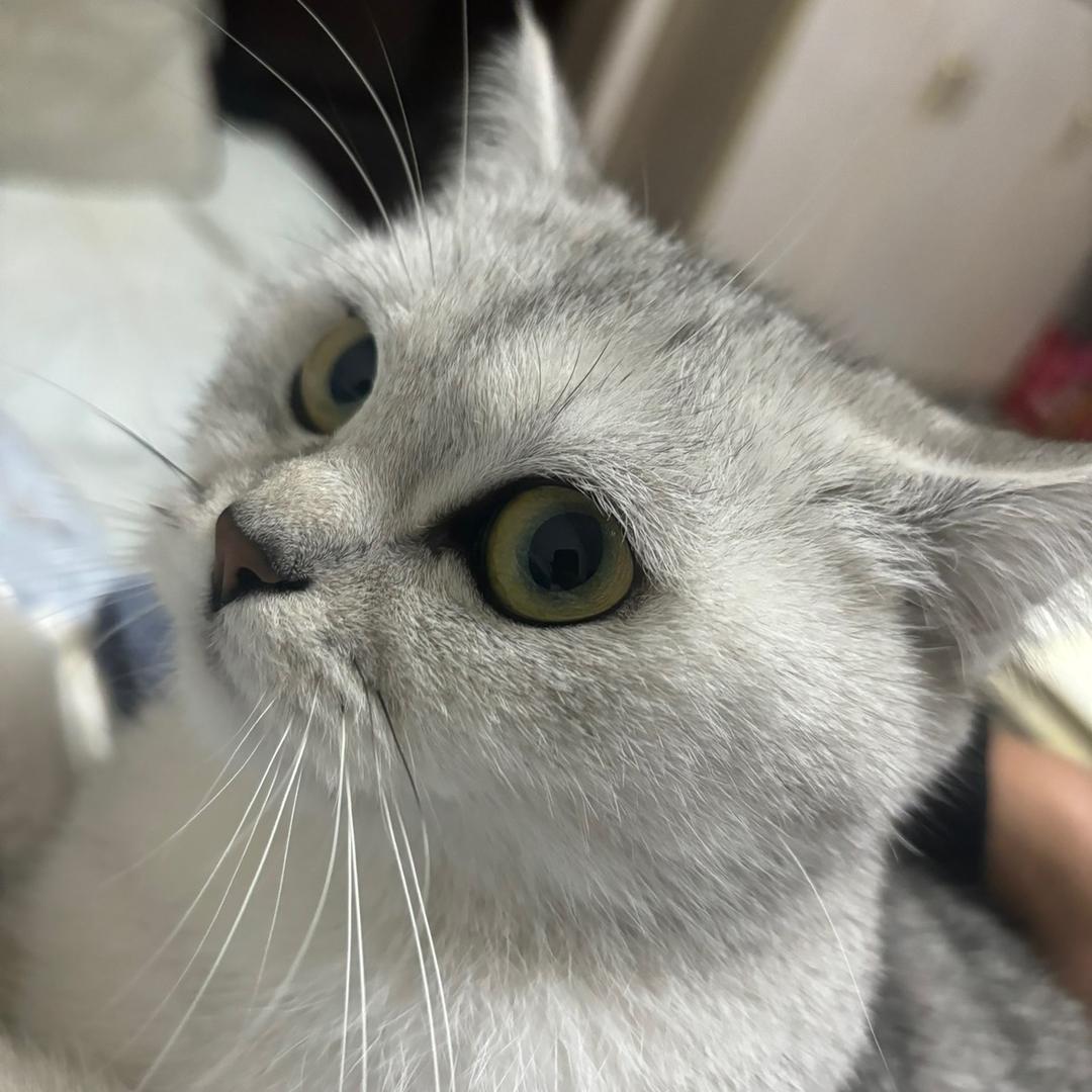 天翼电脑